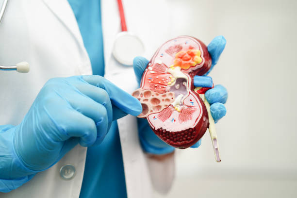 10 Kidney Warning Signs That Show Up After 40