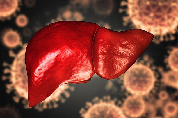 10 Signs Liver May Struggles More Than Realize
