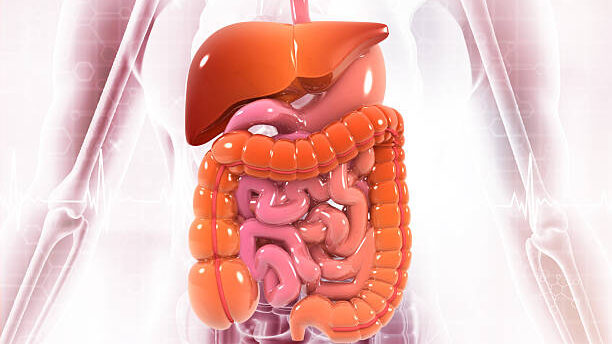 8 Clues Your Metabolism May Not Be Working Like It Used To