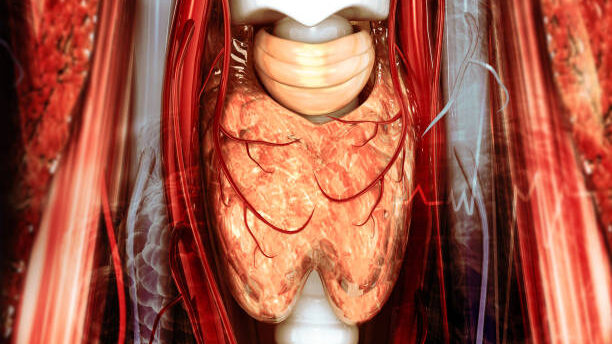 8 Physical Signs Your Thyroid Is Struggling Thyroid Imbalances ,The neck sometimes gives it away