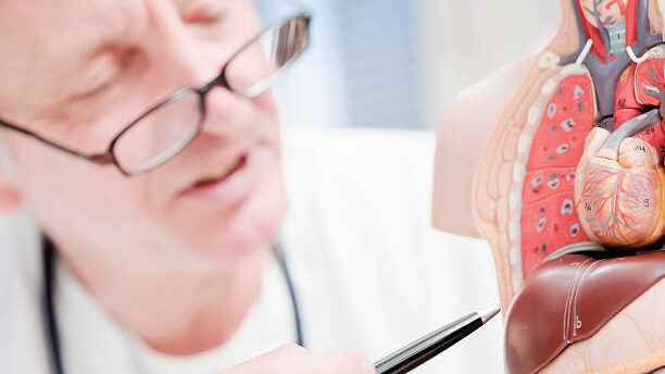Liver Health Habits: 6 Simple Changes That Take the Pressure Off