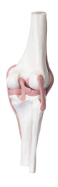 Cracking Knees: 7 Real Reasons They Get Noisier With Age