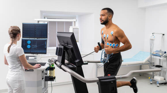 Your Cardiovascular System: 8 Astonishing Truths About How Body Actually Runs