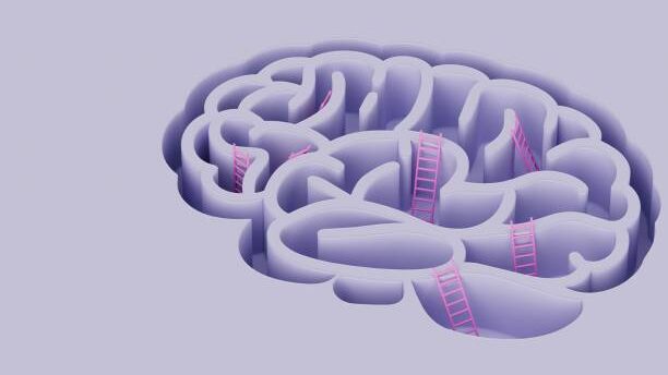 Memory After Midlife: 8 Everyday Habits Quietly Shaping Your Brain