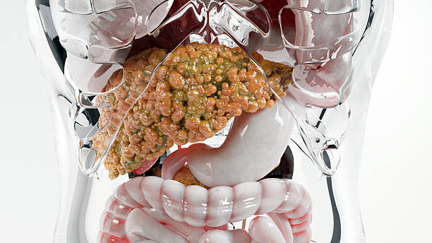 Fatty Liver Risk: 8 Hidden Factors Quietly Working Against You