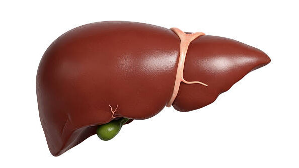 Liver Health: 8 Small Changes That Make a Genuinely Big Difference