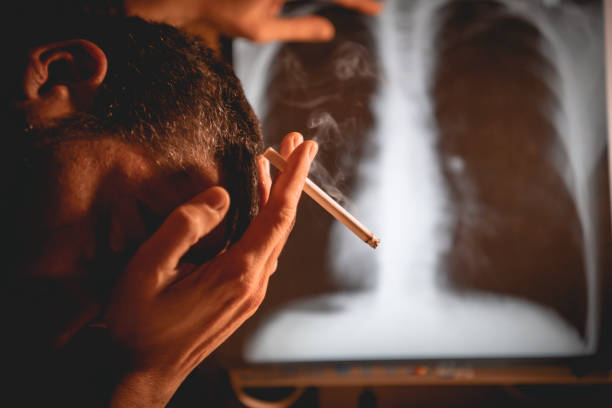Cardiovascular Health: 10 Everyday Steps That Actually Protect Your Heart