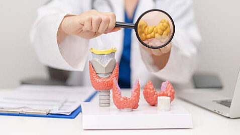 Thyroid Screening: 8 Facts That Make Monitoring Easier to Understand